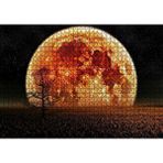 Cakapuzzle Tarlada Yalnız Ağaç ve Olağanüstü Süper Ay Yapboz MDF Puzzle