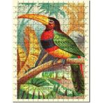 Cakapuzzle Tukan Kuşu Görseli 120 Parça Puzzle