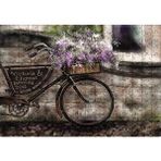 Cakapuzzle Vintage Bisiklet Sepette Lavantalar Görseli 255 Parça Puzzle