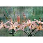 Cakapuzzle Yağmur Ve Zambak Yaprakları 120 Parça Ahşap Puzzle