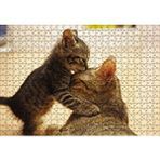 Cakapuzzle Yavru Kedi Anne Sevgisi 120 Parça Ahşap Puzzle