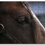Cakapuzzle Yelesi Örülü Kahverengi At Yakın Çekim Mdf 500 Parça Puzzle