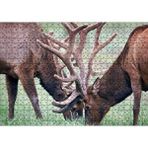 Cakapuzzle Yeşil Çayırda Otlayan Boynuzlu Geyikler 120 Parça Ahşap Puzzle