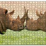 Cakapuzzle Yeşil Çayırdaki Erkek ve Dişi Gergedan Mdf 255 Parça Puzzle