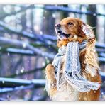 Cakatablo Ahşap Tablo Atkılı Köpek