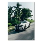 Cakatablo Ahşap Tablo Beyaz Ford Mustang Ve Palmiyeler
