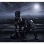 Cakatablo Ahşap Tablo CatWoman Ay Işığında