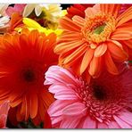 Cakatablo Ahşap Tablo Gerbera Çiçekleri Turunculu Pembeli