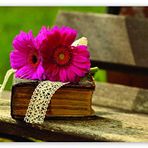 Cakatablo Ahşap Tablo Gerbera, Eski Kitap ve Dantel