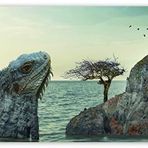 Cakatablo Ahşap Tablo Iguana Kafası Deniz