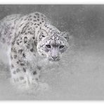 Cakatablo Ahşap Tablo Kar Leoparı