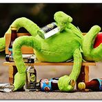 Cakatablo Ahşap Tablo Kurbağa Kermit Bankta Sızmış
