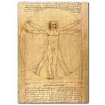 Cakatablo Ahşap Tablo Leonardo da Vinci İnsan Anatomisi Görseli