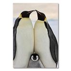 Cakatablo Ahşap Tablo Penguen Ailesi