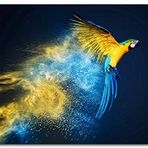 Cakatablo Ahşap Tablo Sarı Mavi Yeşil Macaw Papağanı ve Renkli Kanat İzleri