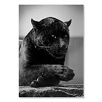 Cakatablo Ahşap Tablo Siyah Jaguar