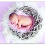 Cakatablo Ahşap Tablo Yuvada Uyuyan Bebek