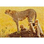 Cakatablo Atletik Çita ve Sevimli Yavruları 1000 Parça Puzzle Yapboz MDF Ahşap