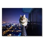 Cakatablo Balkon Demirindeki Cesur Kedi Mdf Ahşap Tablo