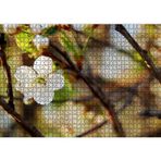 Cakatablo Beyaz Çiçek Arkaplanda Dallar ve Flu Yapraklar 1000 Parça Puzzle Yapboz MDF Ahşap