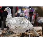 Cakatablo Beyaz Hindi Biblo 1000 Parça Puzzle Yapboz MDF Ahşap