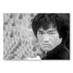 Cakatablo Bruce Lee Kavga Anı Mdf Ahşap Tablo