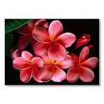 Cakatablo Büyük Kırmızı Yapraklı Plumeria Çiçeği Mdf Ahşap Tablo