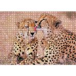 Cakatablo Çita Ailesi Temizleniyor 1000 Parça Puzzle Yapboz MDF Ahşap