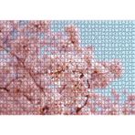 Cakatablo Dallarda Kiraz Çiçekleri 1000 Parça Puzzle Yapboz MDF Ahşap