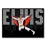 Cakatablo Elvis Presley Sahnede Beyaz Elbise Ve Pelerinli Mdf Ahşap Tablo