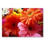 Cakatablo Gerbera Çiçekleri Turunculu Pembeli Mdf Ahşap Tablo