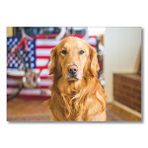 Cakatablo Golden Retriever Ve Amerikan Bayrağı Mdf Ahşap Tablo