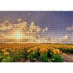 Cakatablo Günbatımında Bulutlar ve Sarı Laleler 1000 Parça Puzzle Yapboz MDF Ahşap