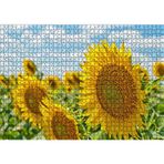 Cakatablo Günebakan Çiçekleri 1000 Parça Puzzle Yapboz MDF Ahşap, P13908-1000