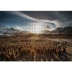 Cakatablo Güney Georgia'da Kral Pengueni Yavruları 1000 Parça Puzzle