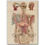 Cakatablo İç Organlar İnsan Anatomisi Görseli 1000 Parça Puzzle Yapboz MDF Ahşap