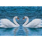 Cakatablo İki Beyaz Kuğu Kalp Şekli 1000 Parça Puzzle