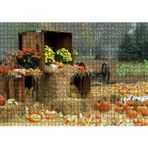Cakatablo Kabaklar Samanlar ve Kasalar 1000 Parça Puzzle Yapboz MDF Ahşap