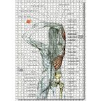 Cakatablo Kadın Anatomisi Kas Haritası 1000 Parça Puzzle Yapboz MDF Ahşap