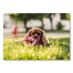 Cakatablo Kahverengi Köpek Ve Oyun İpi Mdf Ahşap Tablo