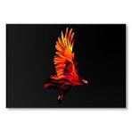 Cakatablo Karanlık Arkaplan Low Poly Renkli Kartal Mdf Ahşap Tablo
