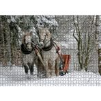 Cakatablo Karda Kızak Çeken Bir Çift At 1000 Parça Puzzle Yapboz MDF Ahşap