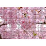 Cakatablo Kiraz Çiçeği Görseli 1000 Parça Puzzle Yapboz MDF Ahşap