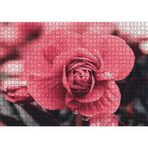 Cakatablo Kırmızı Çiçek ve Damlalar Yakın Plan 1000 Parça Puzzle Yapboz MDF Ahşap