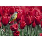 Cakatablo Kırmızı Gelincikler Üzerindeki Sarı Kuş 1000 Parça Puzzle Yapboz MDF Ahşap