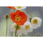Cakatablo Kırmızı ve Beyaz Gelincikler Yakın Çekim 1000 Parça Puzzle Yapboz MDF Ahşap, P17388-1000