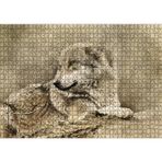 Cakatablo Kurt Eski Fotoğraf 1000 Parça Puzzle