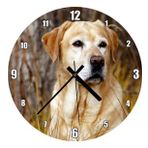 Cakatablo Kuru Otların Arasındaki Labrador Duvar Saati