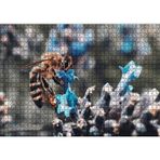 Cakatablo Mor Siyah Çiçekten Polen Toplayan Arı 1000 Parça Puzzle Yapboz MDF Ahşap
