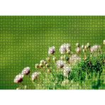 Cakatablo Otların Arasında Yeni Açan Çiçekler 1000 Parça Puzzle Yapboz MDF Ahşap